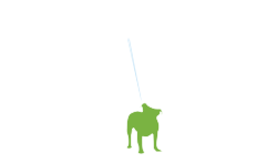 Northside Veterinary Clinic